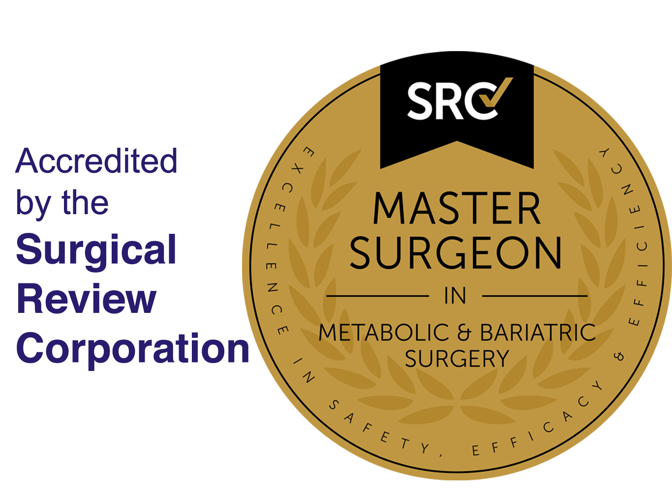 Master Surgeon in Metabolic and Bariatric Surgery